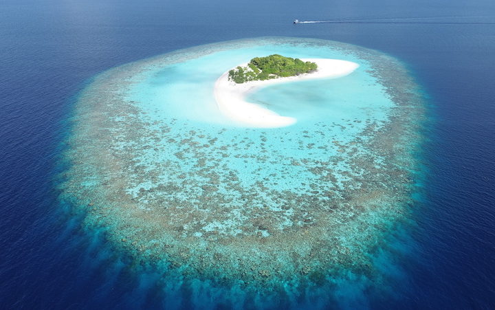 Coral islands may escape ‘drowning’ as seas rise